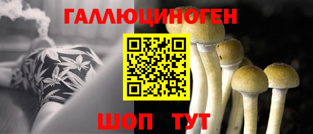 Псилоцибиновые грибы Cubensis  Вход с VPN  Ногинск 